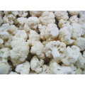 CAULIFLOWER FROZEN CAULIFLOWERFROZEN IQF CAULIFLOWER CAULIFILLA PROZIDA Vegetales congelados blancos